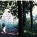 동양바이크 이미지