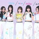 앙큼 MHN스포츠