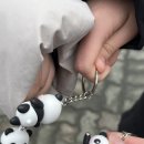 팬더리아 이미지