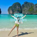 주연약국 | 푸켓 여행 | 피피섬 투어 마이리얼트립 카타마란 내돈내산 후기 (피피섬, 마야베이, 필레라군, 카이섬)