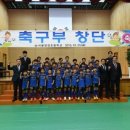 서울 양강초등학교 축구부 창단 이미지