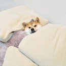 이김 이미지