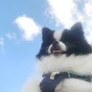 낙동강변26 이미지