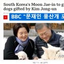 영국 BBC도 관심, 문재인 풍산개 파양..처음부터 대북쇼 이미지