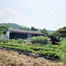 32155 양평읍 신애리 남서향 경량철골조 토지 585㎡ (176.96평), 건물 66.49㎡ (20.11평) 매매2.3억 이미지