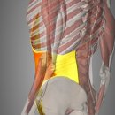 리얼타임 피트니스 이미지