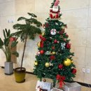 엘도라도 | [충북/오송] 대형카페 브런치 맛집 ‘엘도라도’ 내돈내산 후기