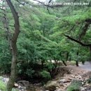 백운농협주유소 이미지