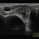 서울으뜸내과의원 이미지
