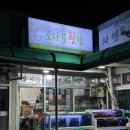 바다소나무 | 거제 소나무횟집 솔직후기 | 바다뷰 활어회 내돈내산 방문기