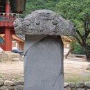 비로사 - 1746 | 비로사