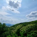 초례산 숲속 힐링로드 이미지