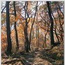 유학사 - 1813 | 유학사