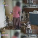 애견사랑 이미지