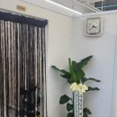 반짝반짝뷰티살롱 | 부산 와이뷰티살롱 ✨️ 새치염색 + 단발컷 시술후기
