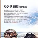 속편한웰빙