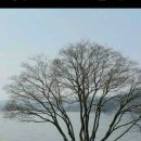 보미오는곳