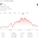 스카이웍스