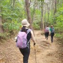 수원지경로당 이미지