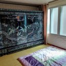 서호동-52 이미지