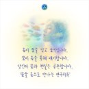 희망의 꿈 | 슬픔과 희망의 꿈