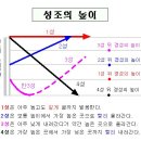 알기 쉬운 김성태의 초보자 학습용 성조표 이미지