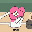 이로케 Daum카페