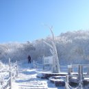 12월14일(토요당일)소백산/연화봉/비로봉 눈꽃산행 이미지