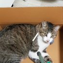 주안1동 행정복지센터 이미지