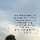 디딤돌 이미지