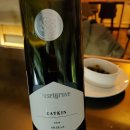 캣킨(CATKIN)
