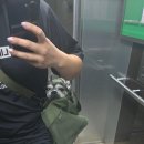 영천댐공원 공중화장실(3) | [노지] 영천댐공원 노지캠핑 방문 후기(영천_화장실위치o)