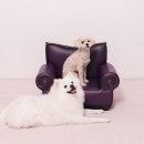 우리덤프 이미지