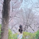 사당쌀빵 이미지