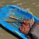 연천어촌계자율관리공동체 | 영종도 마시안 갯벌체험 준비물 주차 물때 맛조개 백합포인트 샤워