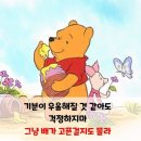 솜(SSOM)