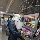 로얄게임장 이미지