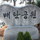 경기도 수원시 장안구 정조로 이미지