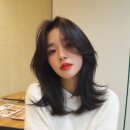 머리하는별 | 봉명2동 망한머리 기장별 레이어드컷과 펌 후기