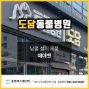 도담동물병원 | 대구광역시 달성군 현풍읍 도담동물병원 레이벳 납품설치