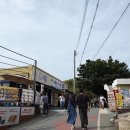 대박성 | 거제여행 코스 추천 거제 매미성 방문 후기 주차 매미성 카페 리센느 원이 추천