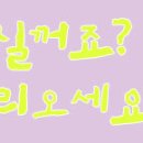 하하팸