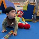유준 | [목동 짐보리 후기] 크롤러에서 워커반까지, 유준이가 한 뼘 더 자라는 목동 짐보리 생활🌱