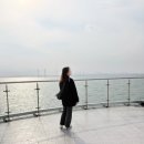 서해회센타 | 시흥 주말나들이, 거북섬 해밀화카페, 배곧동 만선회센타 물회 후기💖