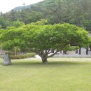 손불초등학교 이미지