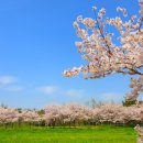 을숙도 생태공원 이미지