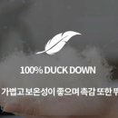 털공장 이미지