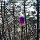 백일경로당 이미지