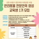 슬기로운 멍생활 이미지