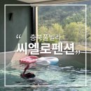 김포시청앞-보인빌라 | 충북풀빌라 씨엘로펜션 아이와 재방문